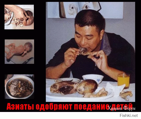 9b68cd143598cf55469a.webp