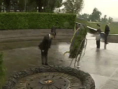 9b68d7cf32d233e04d2.gif