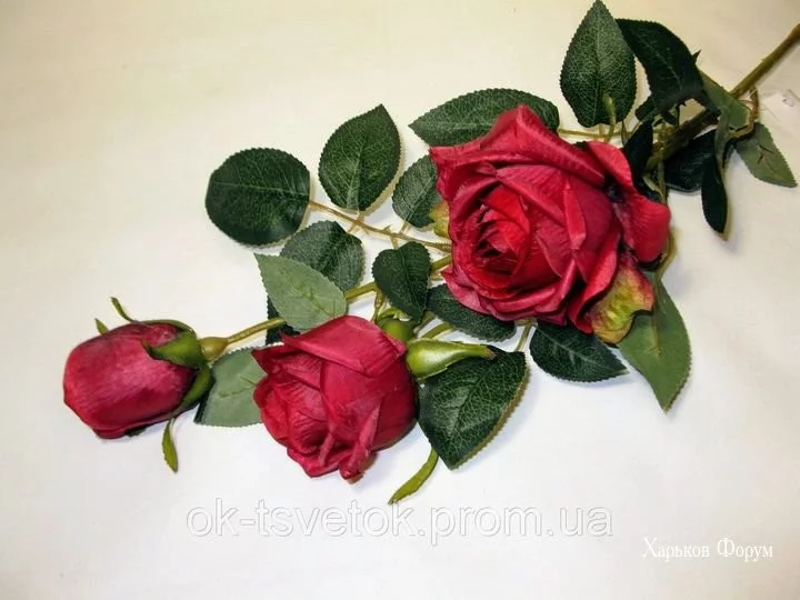9b796758e83791c47658.webp