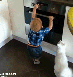 9b82d707479c77811ca55a864fe2a888.gif