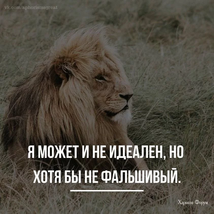 9b83d9c6fe00a72de9.webp