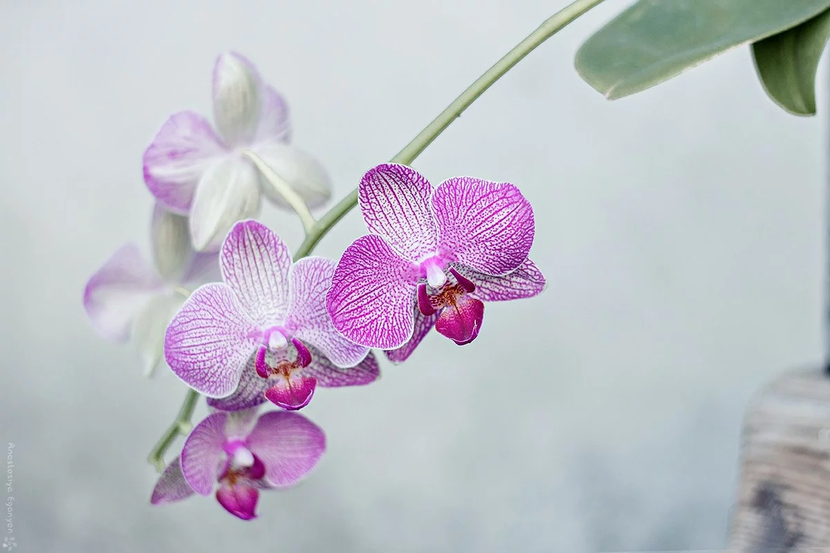 9B8afZi848c.webp