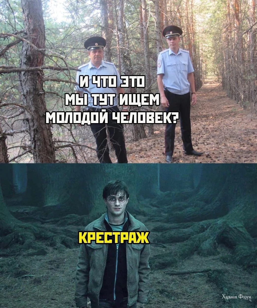 9b8ce6b35891ee007f.webp