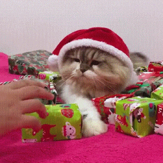 9b90bef2a7bfc3646499b607.gif