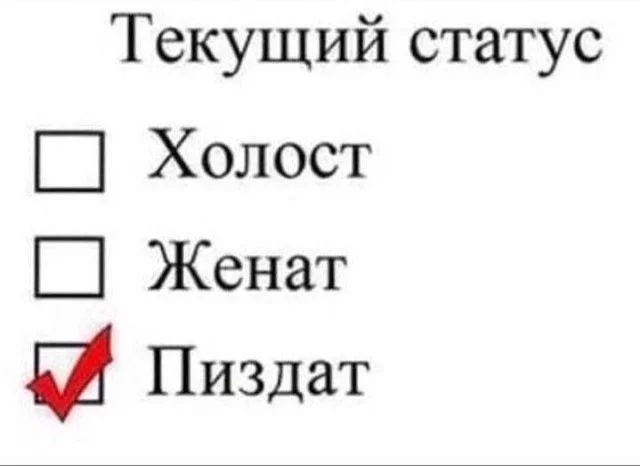 9ba560658b435535bfe.webp