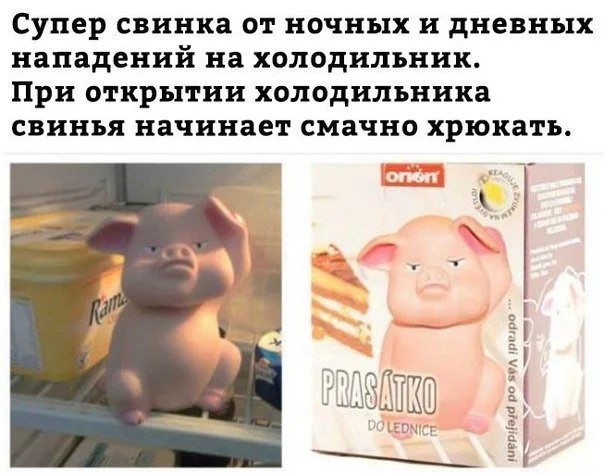 9bafdc.webp
