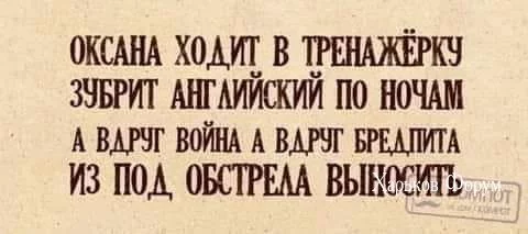 9bb7576e4ddf568aa00.webp
