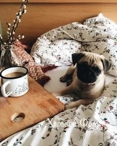 9bc2e756767ab3e0174ccc83.webp