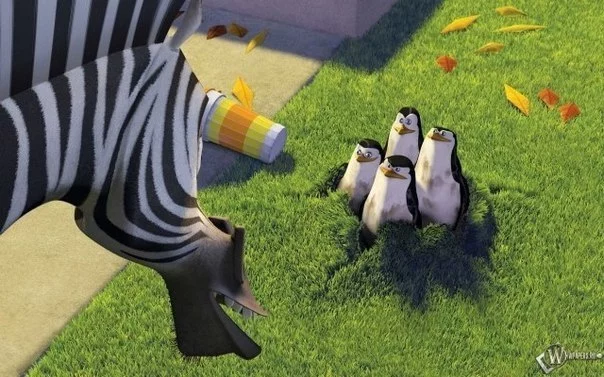 9BEgoWeGM7Y.jpg