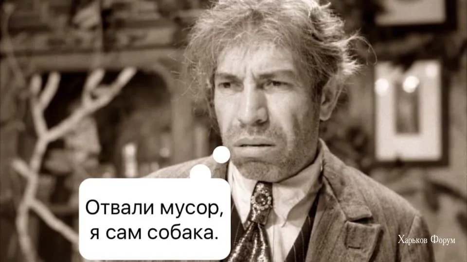 9bf00369661f88bd7972e6.webp