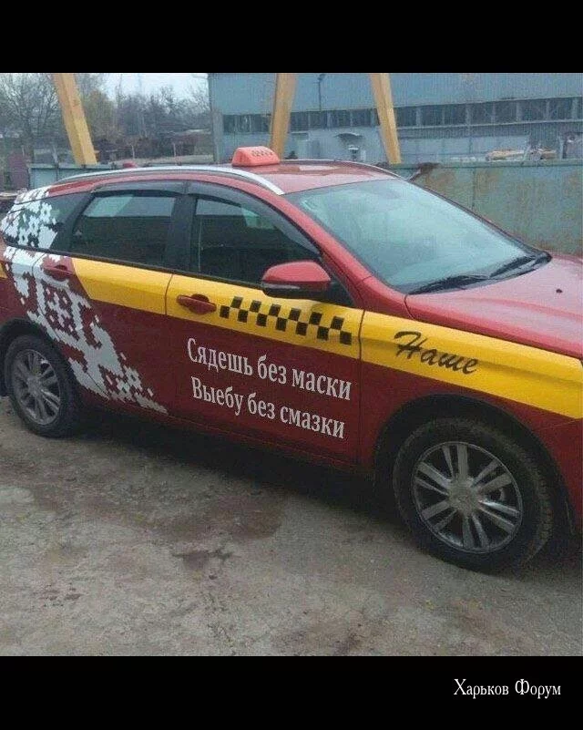 9bfacf773a84d7cf91ed0.webp