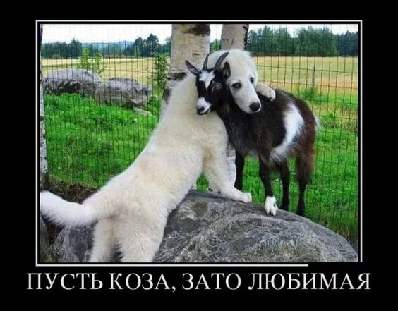 9bghja.webp