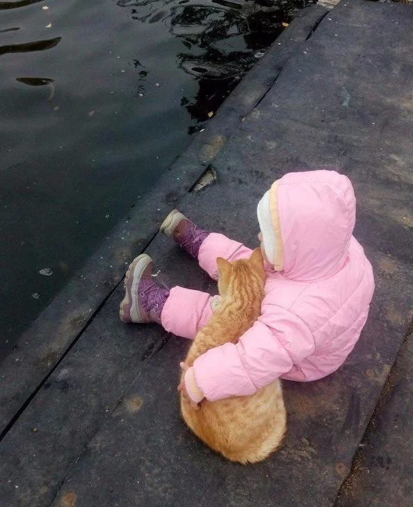 9bjegj.webp