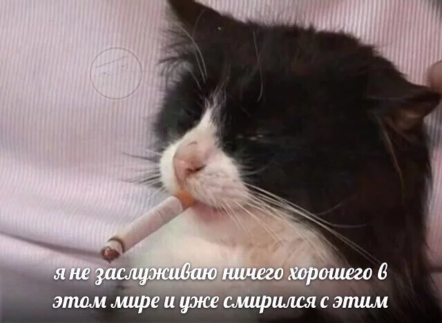 9bjfhg.webp