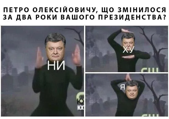 9bLgArGOKxE.webp