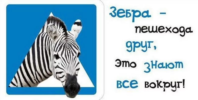 9c123990038008b46e2d.webp
