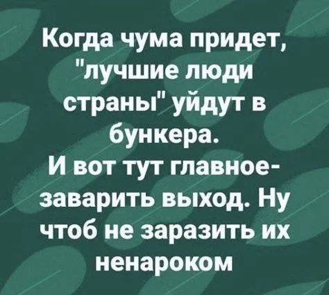 9c15e7c4d13295511e3a72221d7a72fe.webp