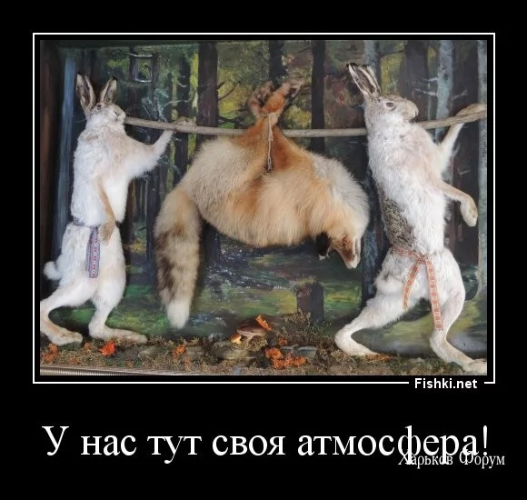 9c277591062ae754a7.webp