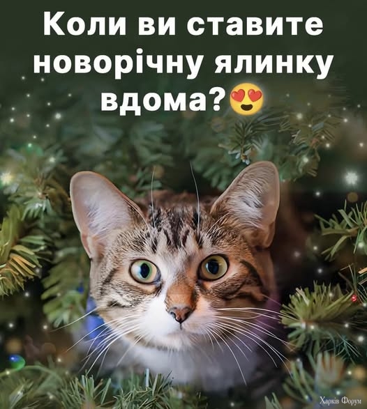 9c2QQ7kNvgHjmLhL&_nc_zt=23&_nc_ht=scontent.fdnk1-3.jpg
