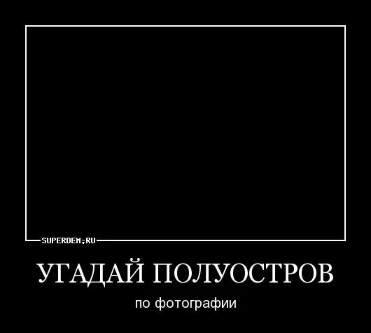 9c3573f02d7bd568.webp