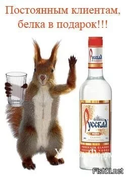 9c4ef3cf5a9dc596.webp