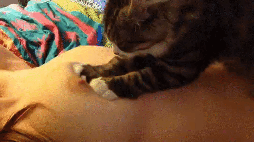 9c5aaebe3c8f1ae745.gif