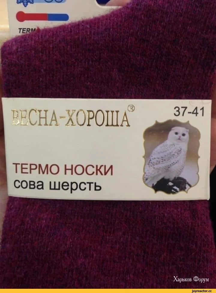 9c5d932ee2037e85f4eb8.webp