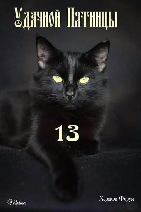9c71cc80351b0474b1285a77.webp