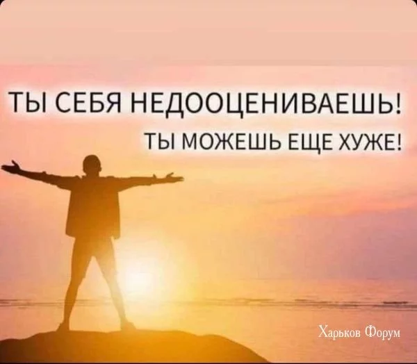 9c72e21001bd82ef6daa5.webp