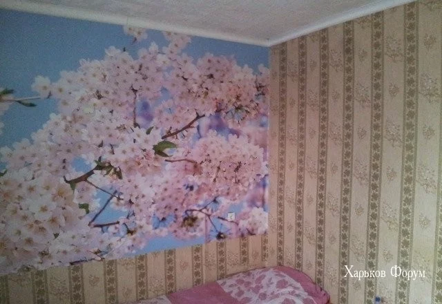 9c755fe17dfc1da7d2f.webp