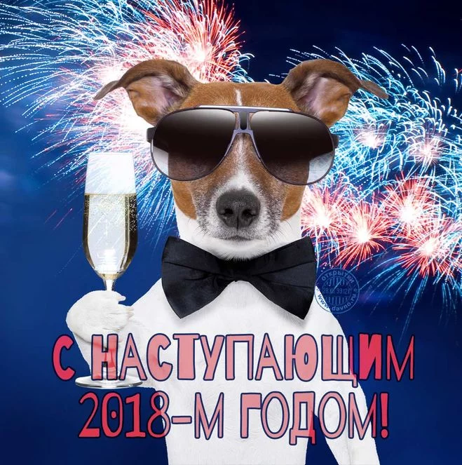 9c8bc8b865c937fed43f5482afd309ff.webp