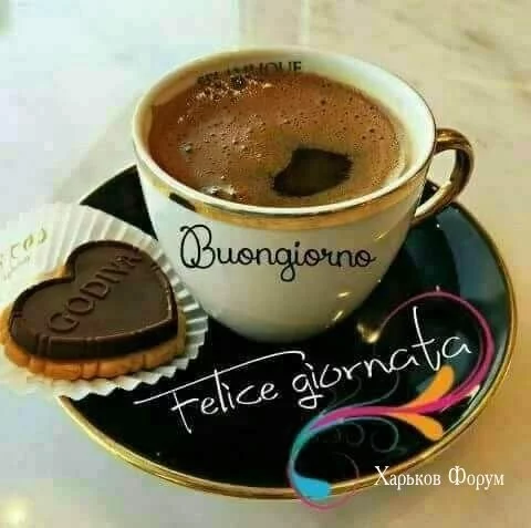 9c952e4a02ba9ae3bbd9aff.webp