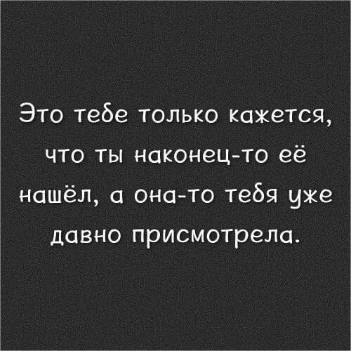 9cagcc.webp