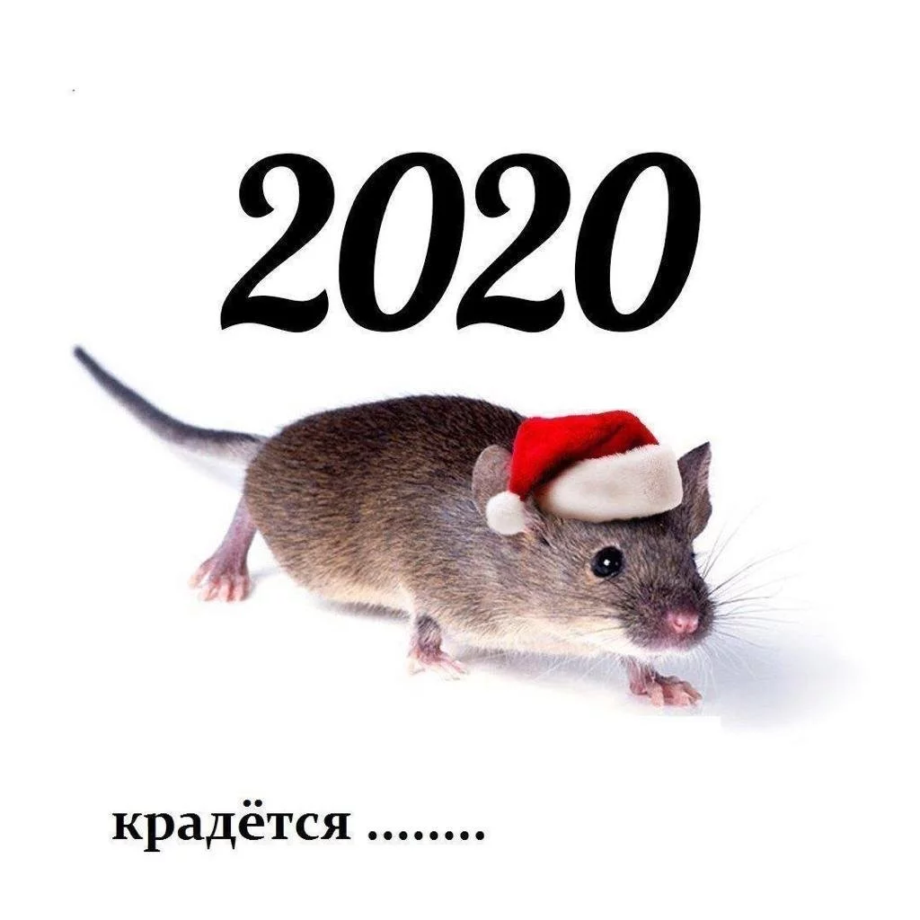9cb7c7106b4afefece2d754.webp