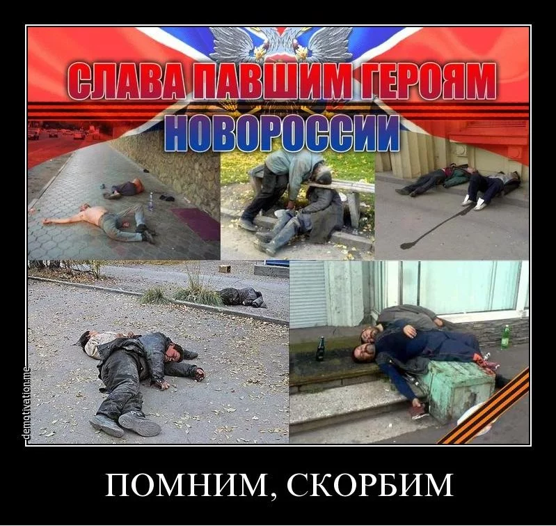 9cbgbg.webp