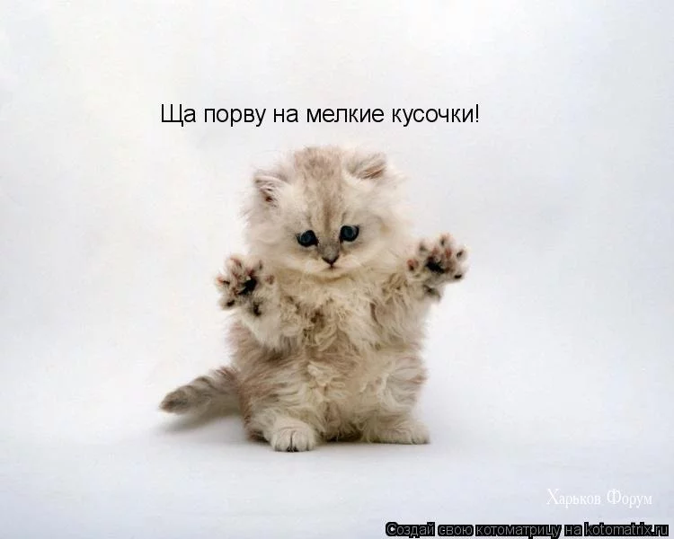9cebbdaf01937d8e1953.webp