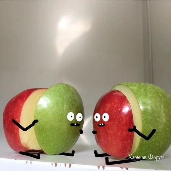 9cf2323c9bf9cbe4a2ad1960.webp