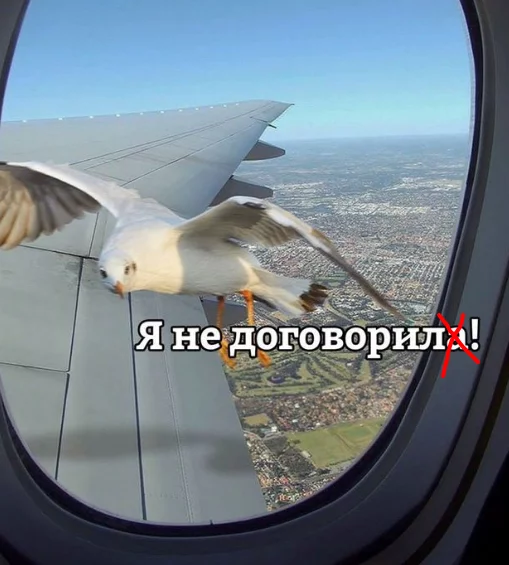 9cfbjb.webp