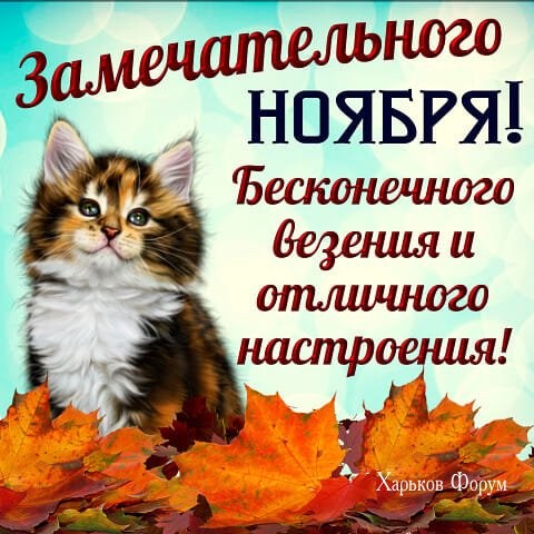 9cfd86a9f7915832b9e6b1.jpg