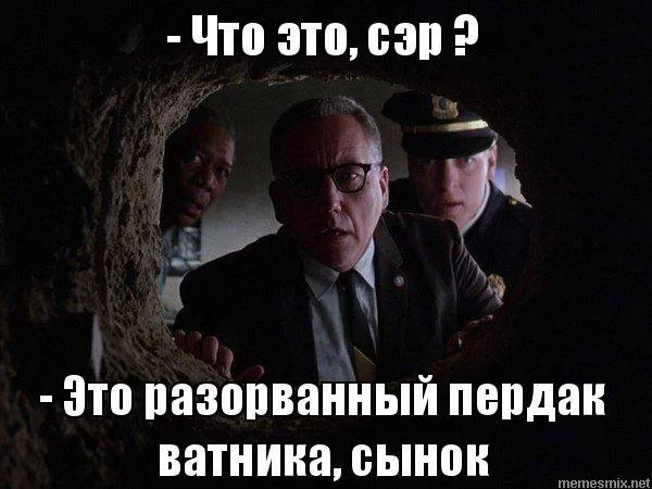 9cgcjd.webp