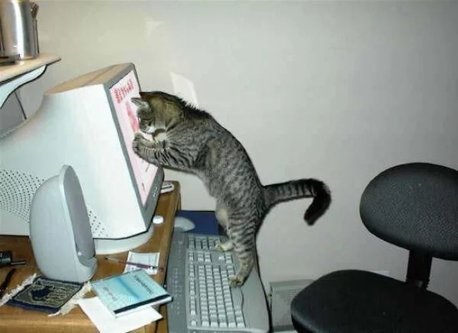 9cLoKaW_Qk4.webp
