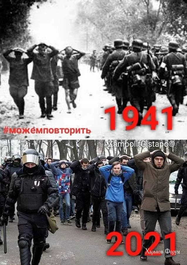 9d085e87c3b345b267749.webp