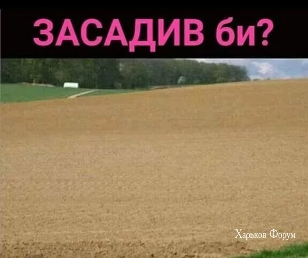 9d0c8857d747ac6aa349.webp