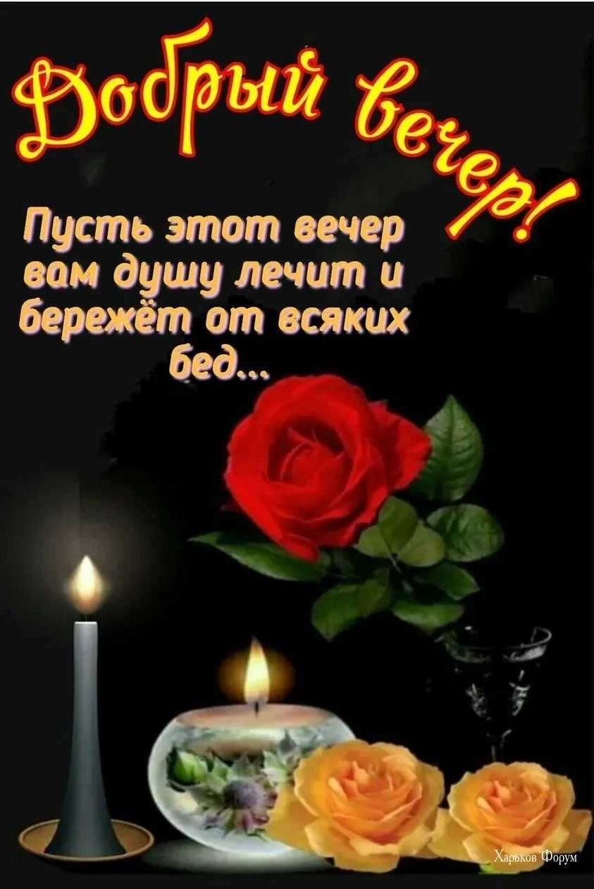 9d10c3ebefa1d2f58ab.webp