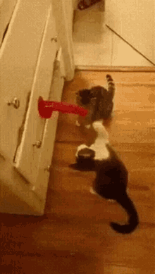 9d2fe2af6d19263fc01ca56.gif