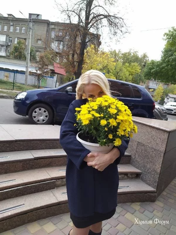 9d3b8faaef105e78013.webp