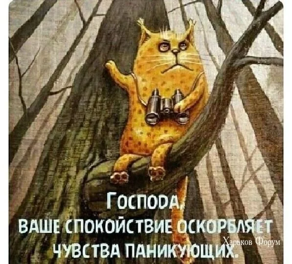 9d4493942d2afdd235d7d.webp