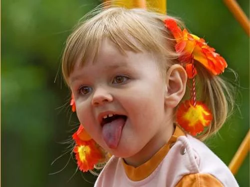 9d4565.webp