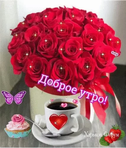 9d486fef6b75cc8314bf0.webp