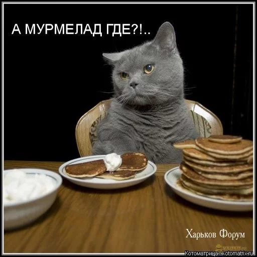 9d5482357ae7e4c14871f.webp